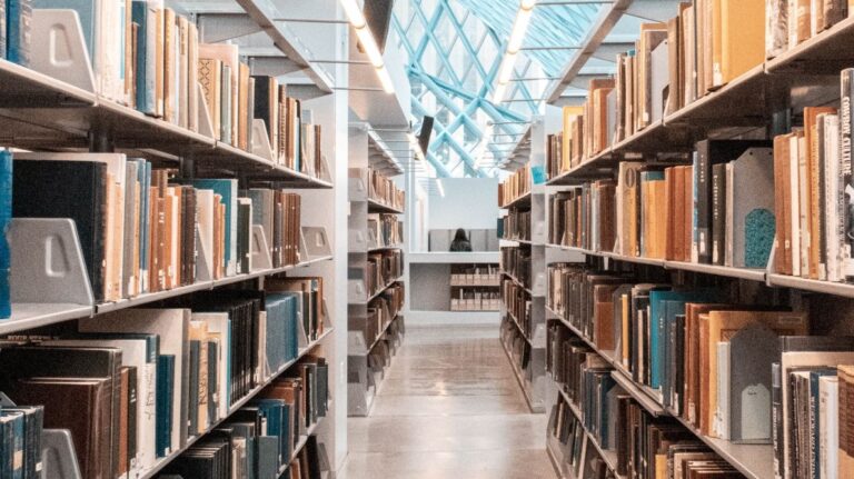 Une bibliothèque joliment éclairée par la lumière d'une verrière