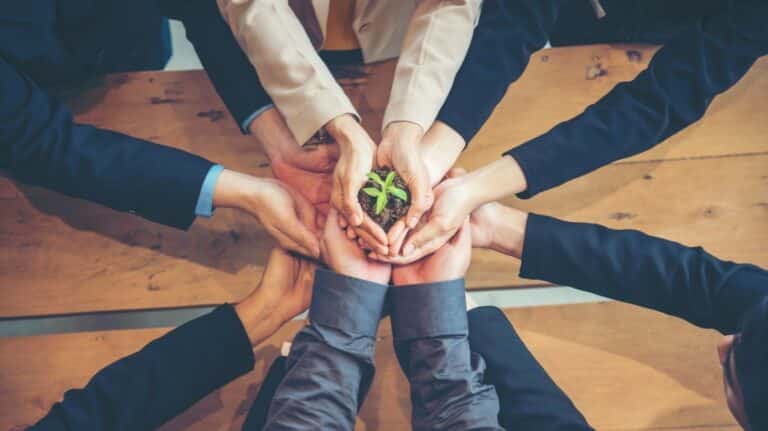 Des mains de salariés tenant une plante, vu de haut.