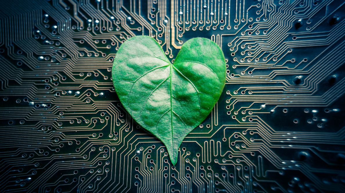 Une feuille en forme de cœur sur un circuit imprimé